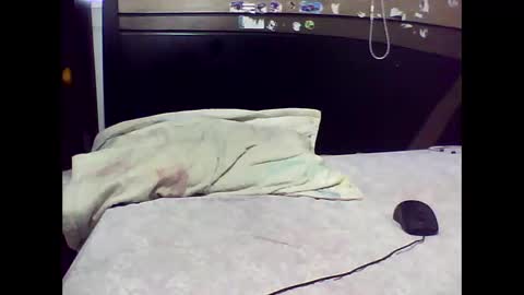 Edd Gallego online show from November 2, 2025, 7:05 pm