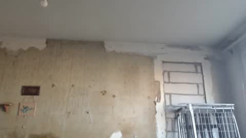 Alexander online show from February 12, 2025, 1:16 pm