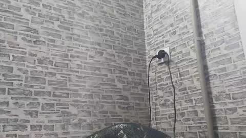 edithmanning online show from January 21, 2025, 9:03 am