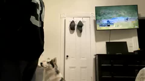 edvmendez1766 online show from October 27, 2025, 5:33 am