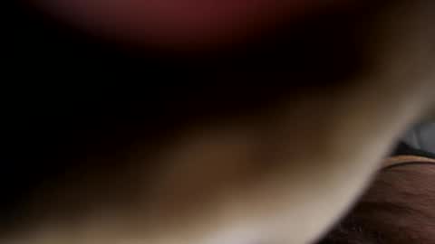 ehdgher online show from April 21, 2026, 7:47 am