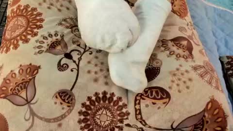 Snapshot of eilin_clio chatting on July 26, 2026, 1:07 pm Eilin online show from July 26, 2026, 1:07 pm