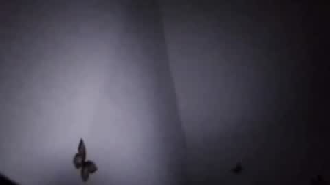 Ekspansion online show from January 8, 2026, 4:37 am