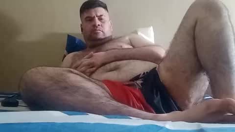Sebastin online show from February 15, 2026, 10:36 am