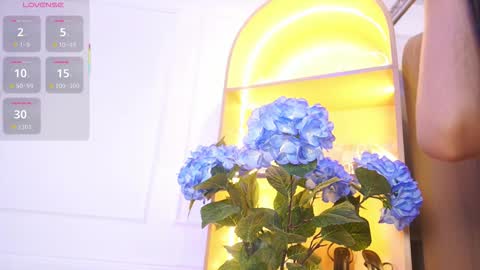 Elasummeer online show from November 29, 2025, 11:57 am