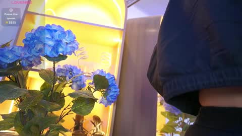 Elasummeer online show from December 17, 2025, 12:00 pm