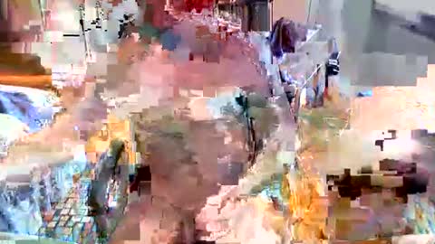 Snapshot of elbasca chatting on February 18, 2026, 12:12 pm elbasca online show from February 18, 2026, 12:12 pm