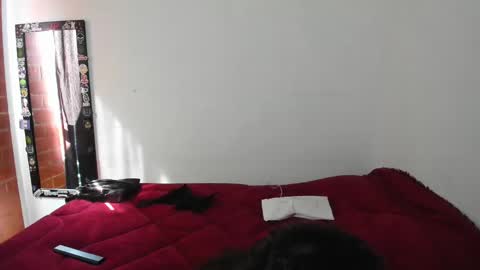 Electradevis2 online show from January 19, 2025, 2:17 pm