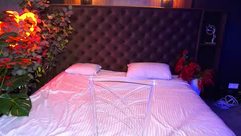 Snapshot of elegant_mysterious chatting on October 23, 2025, 8:29 pm elegant_mysterious online show from October 23, 2025, 8:29 pm