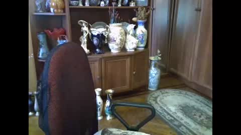 ElenaZed online show from November 13, 2025, 10:03 am