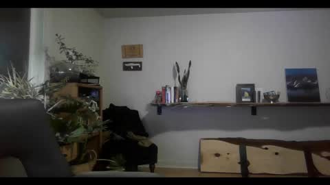 fox online show from February 11, 2025, 3:18 am