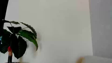 My name is ElizaPVT is open online show from September 8, 2025, 9:25 pm