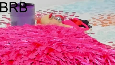 ELIZA online show from January 31, 2025, 6:13 am