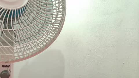 elizabetth_roman online show from April 22, 2026, 8:32 pm