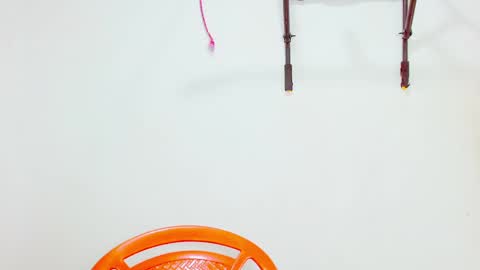 Snapshot of elkingthe chatting on December 9, 2024, 4:47 pm Diana online show from December 9, 2024, 4:47 pm