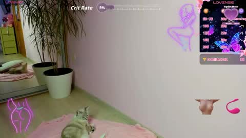 rosi online show from April 22, 2026, 2:03 am