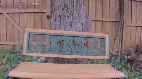 Ella Bella Bo Bella online show from September 13, 2025, 5:13 pm