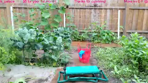 Snapshot of ells_palace chatting on July 22, 2026, 1:47 pm Ella Bella Bo Bella online show from July 22, 2026, 1:47 pm