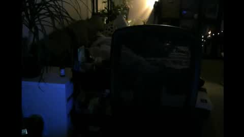 Snapshot of elmetatepeta chatting on March 9, 2026, 2:48 am ElMetaTeDa online show from March 9, 2026, 2:48 am