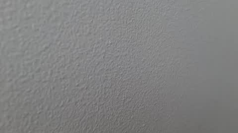 elosocazador online show from December 13, 2024, 7:43 pm