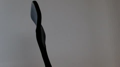 elosocazador online show from March 5, 2026, 2:24 pm