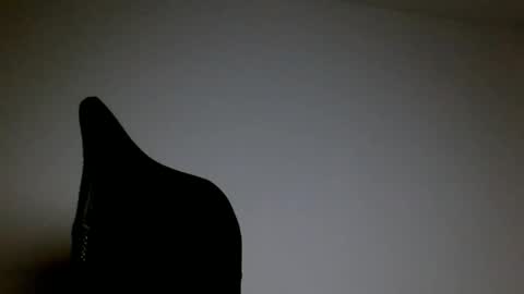 elosocazador online show from April 21, 2026, 12:56 am