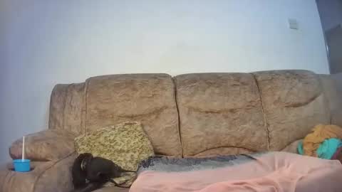 elsie02 online show from November 18, 2025, 6:56 pm