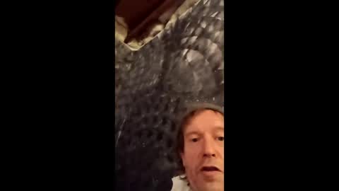 eluardo53 online show from January 12, 2025, 5:03 am