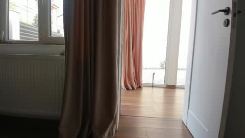 Ely online show from April 22, 2026, 5:54 am