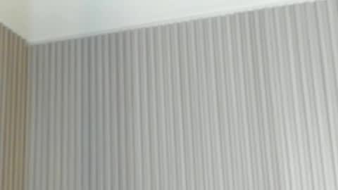 emelie_89 online show from April 21, 2026, 11:49 am