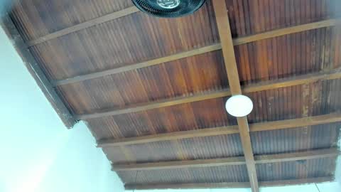 Emily  online show from February 4, 2026, 11:05 am