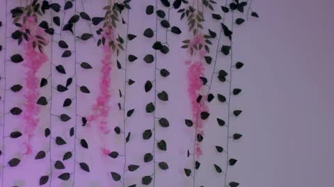 Emily online show from January 30, 2025, 2:38 am