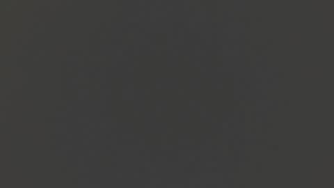 Liss online show from December 15, 2024, 9:42 pm