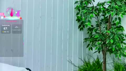 Emily online show from January 14, 2026, 7:52 pm