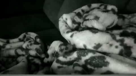 emilywarren296 online show from October 21, 2025, 1:12 pm