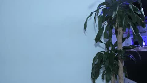 Emma online show from February 22, 2025, 2:30 pm