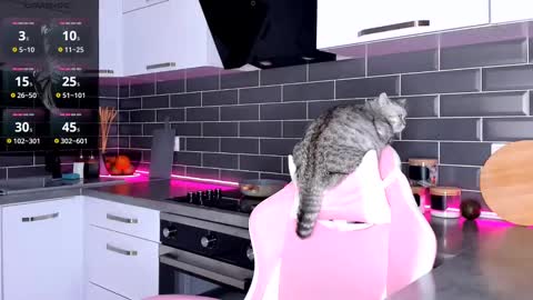 Shaiya online show from February 28, 2025, 12:10 am