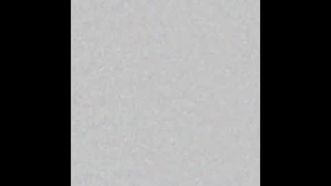 Emily online show from October 13, 2025, 2:44 am