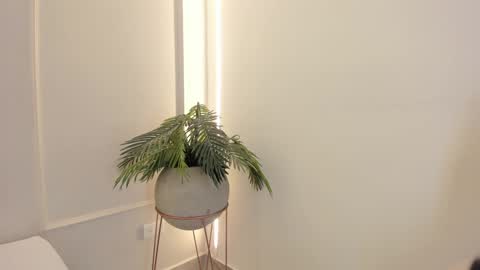 Emmiily online show from January 19, 2025, 2:04 am