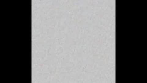 englisharabcock online show from September 14, 2025, 6:07 pm