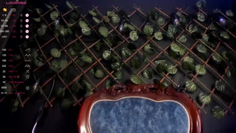 ENJU  I will be back online at 830PM GMT-5 online show from December 7, 2024, 4:53 am