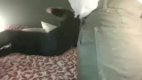 Steph et Eric online show from February 28, 2025, 10:06 pm