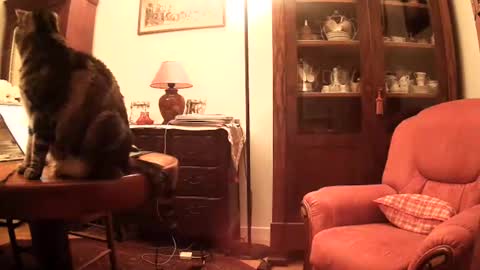 Steph et Eric online show from November 26, 2025, 10:05 am