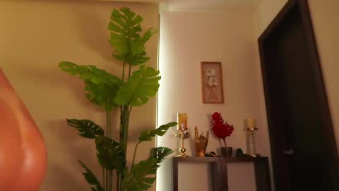 Venus Skye online show from June 5, 2026, 8:14 pm