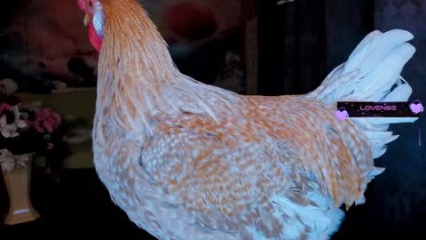 Eve online show from January 30, 2025, 11:34 pm