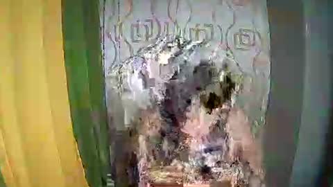 Ervana online show from February 11, 2026, 5:07 pm