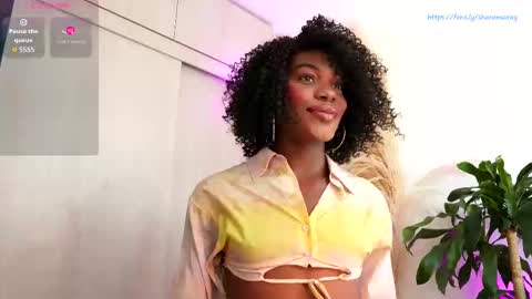 euphoricbunny online show from September 15, 2025, 9:37 pm