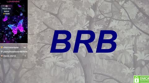 Snapshot of eva__summers chatting on January 19, 2025, 4:04 pm Eva online show from January 19, 2025, 4:04 pm