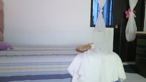 Eva Sin online show from June 12, 2026, 11:25 pm