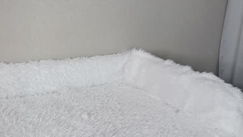 eva varnerr online show from February 3, 2025, 1:19 pm